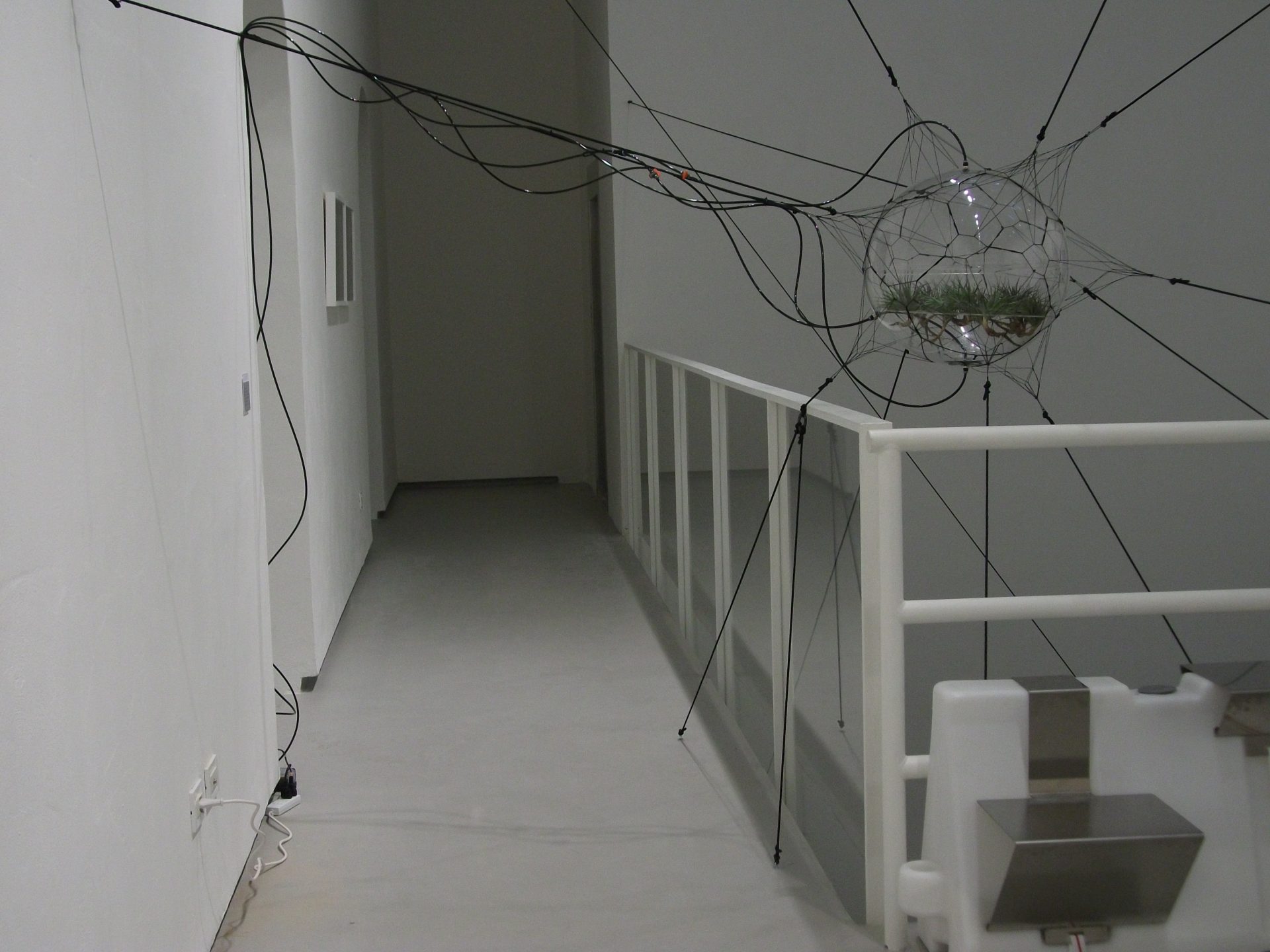 From Camogli to San Felipe, spiders weaving stars…