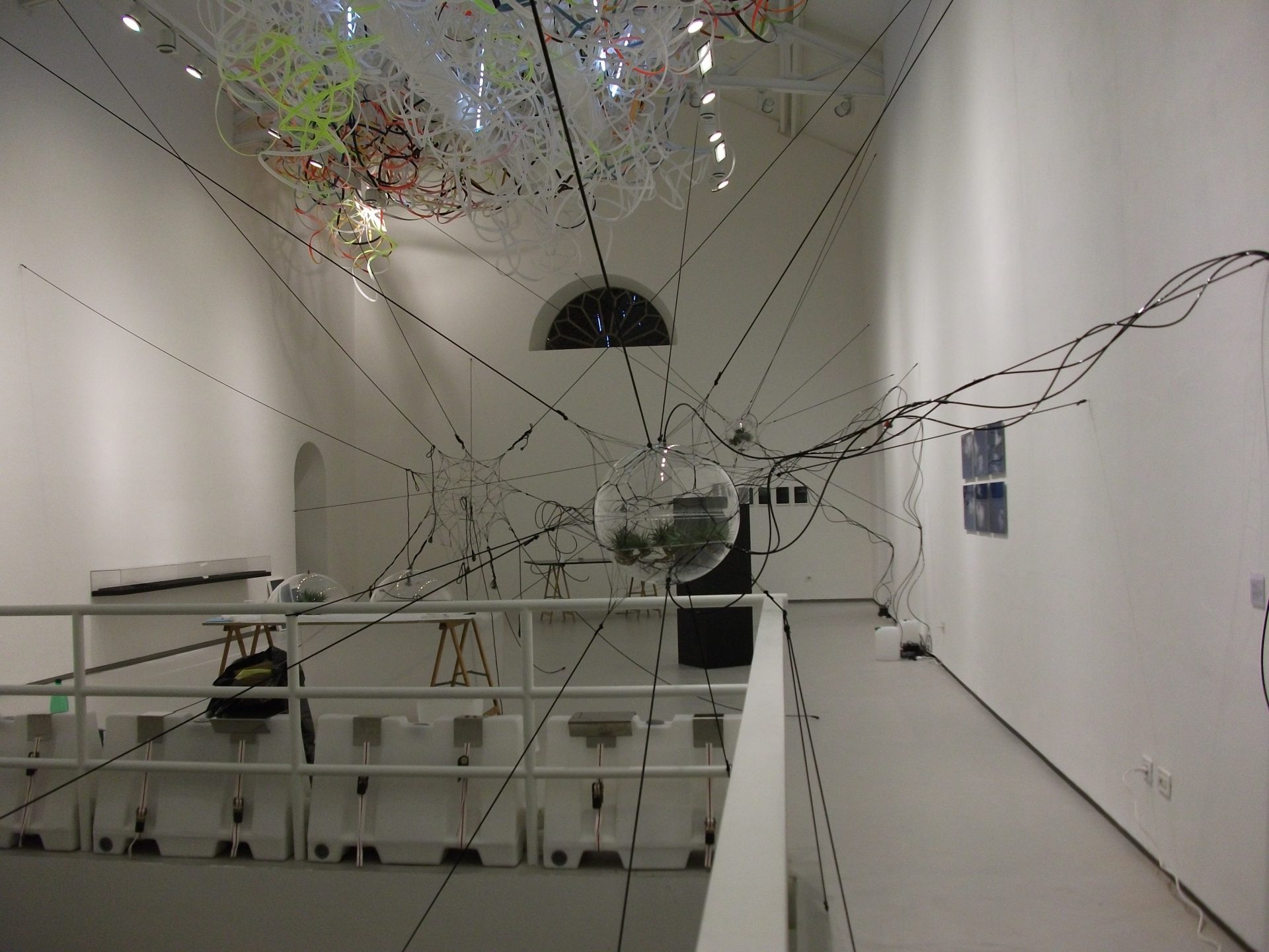 From Camogli to San Felipe, spiders weaving stars…