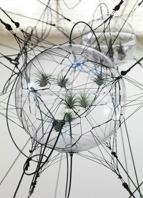 Cloud Cities