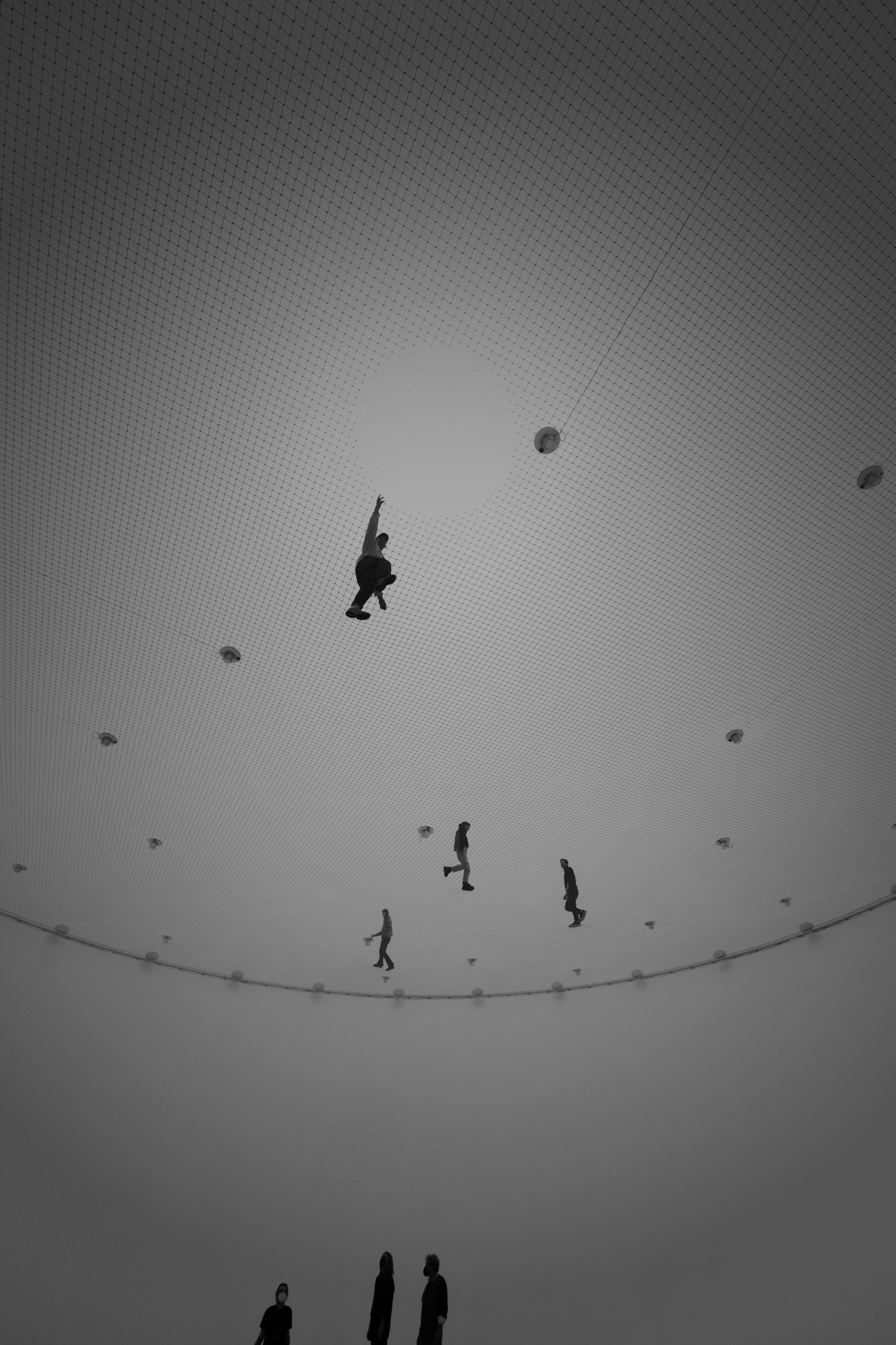 Particular Matter(s)