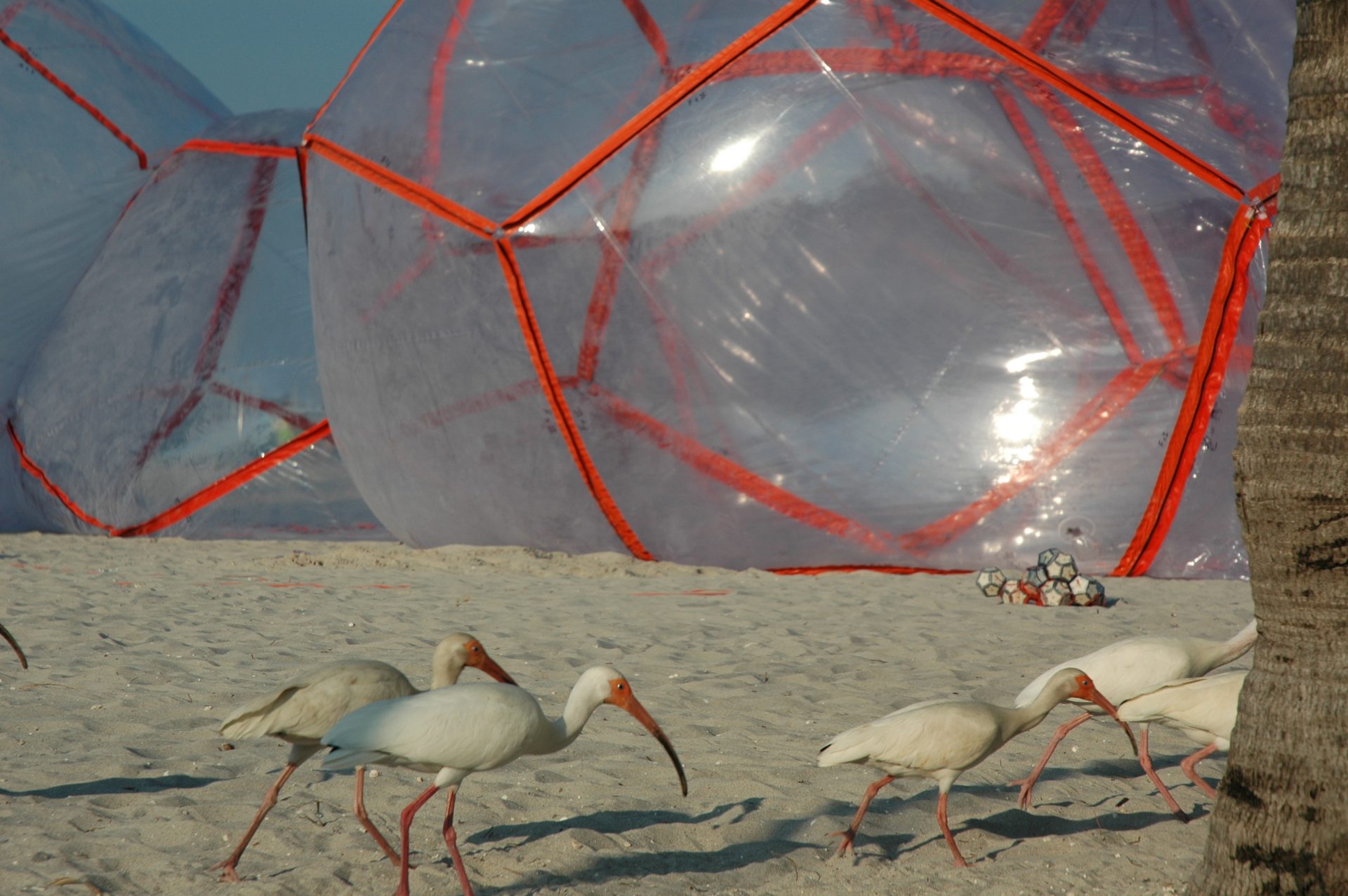 When Spheres Meet Spheres From Miami to Cuba