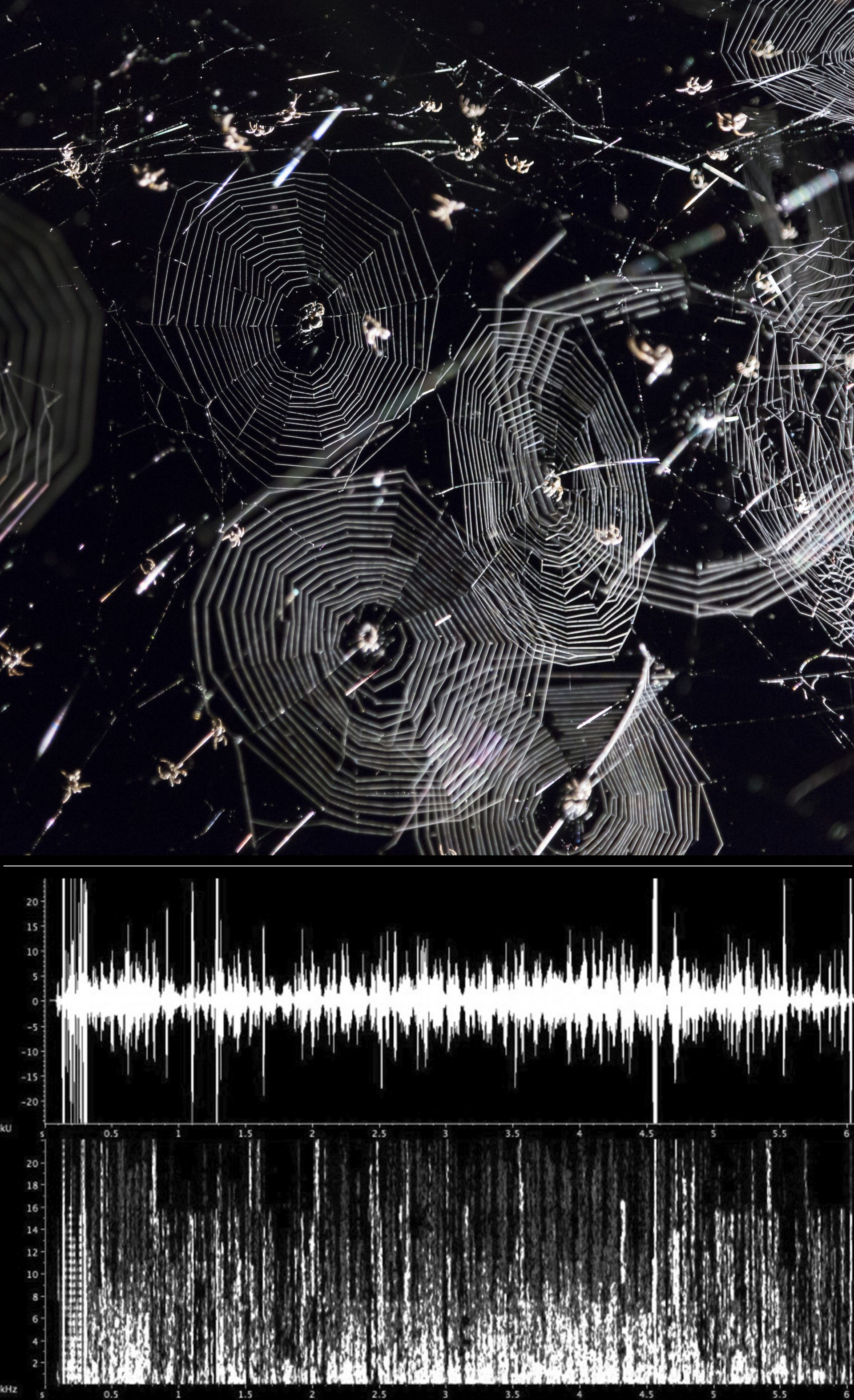Particular Matter(s)