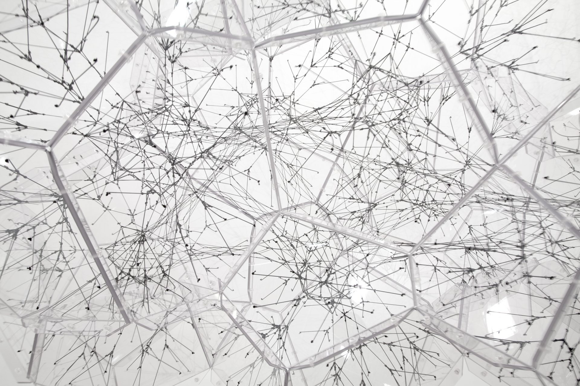 Cloud Cities Connectome