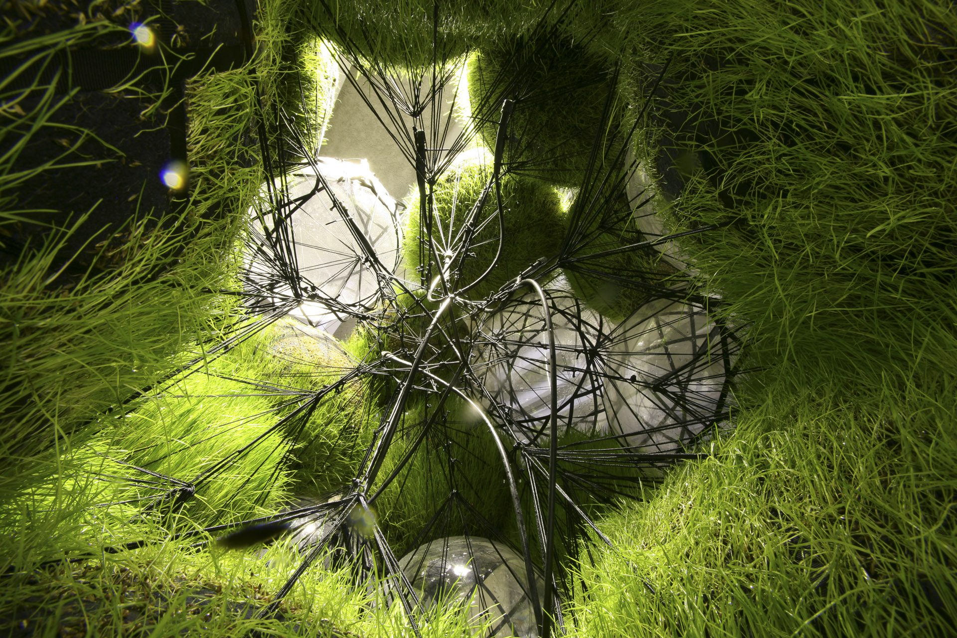 Flying Gardens