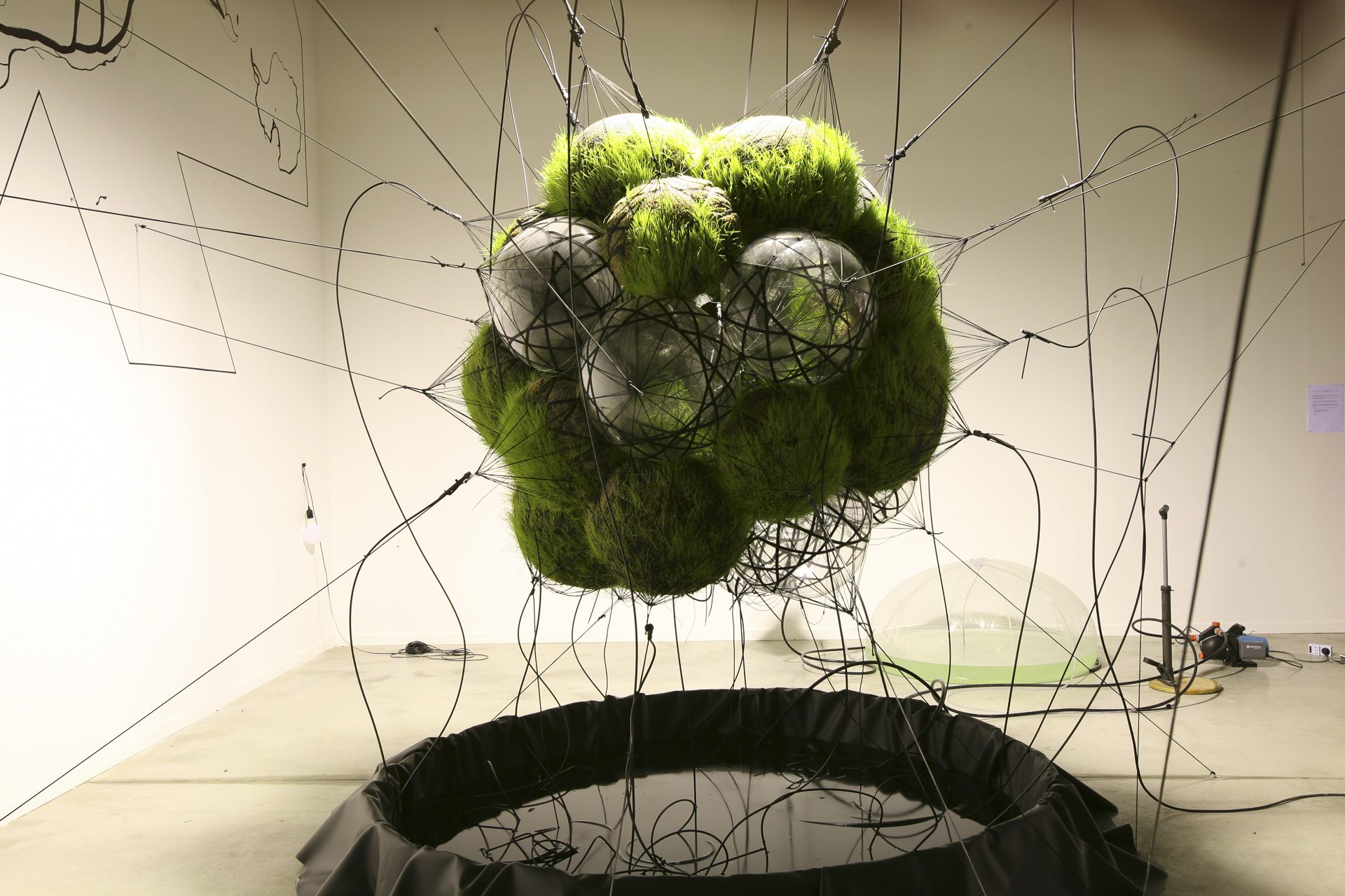 Flying Gardens