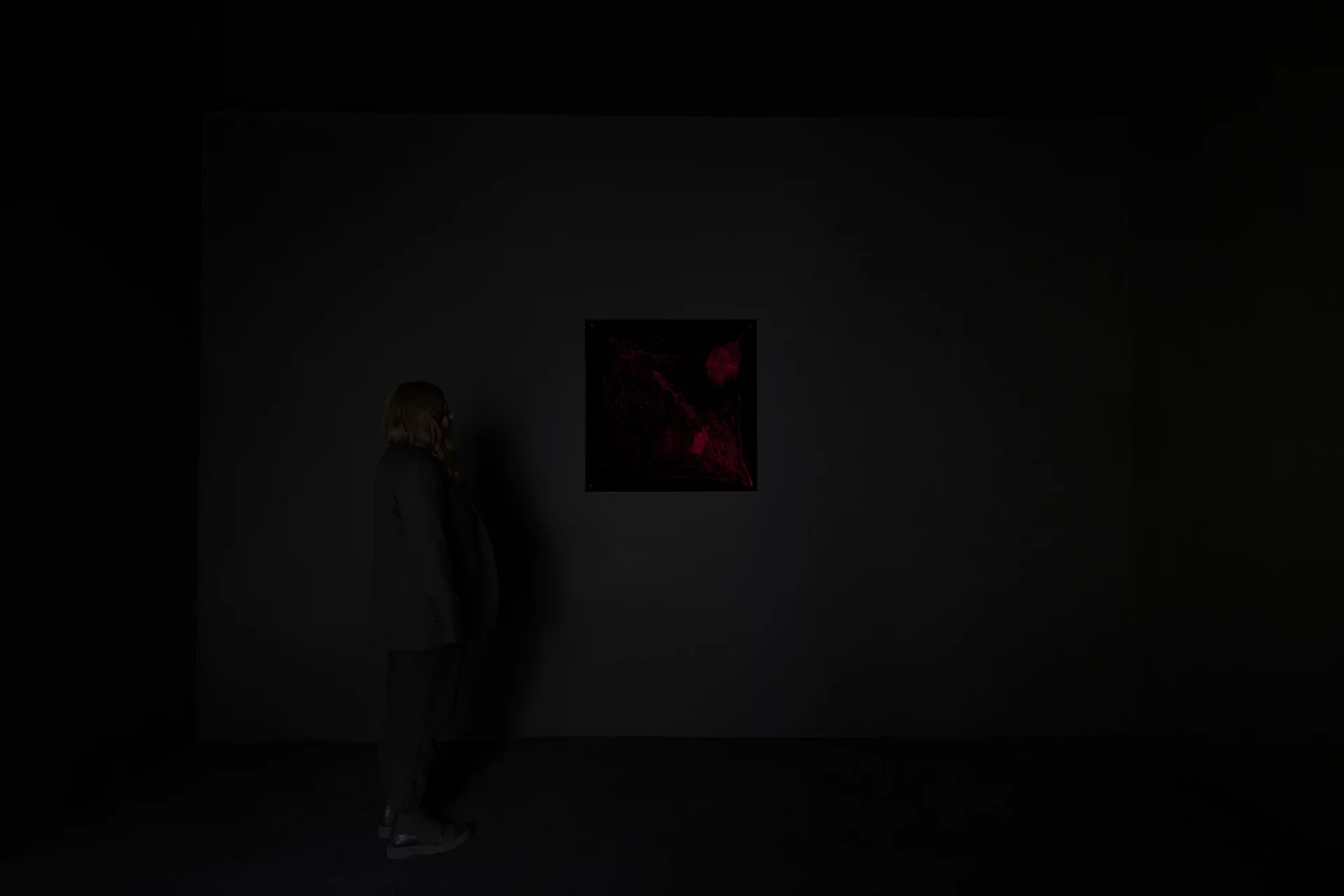 Tomás Saraceno