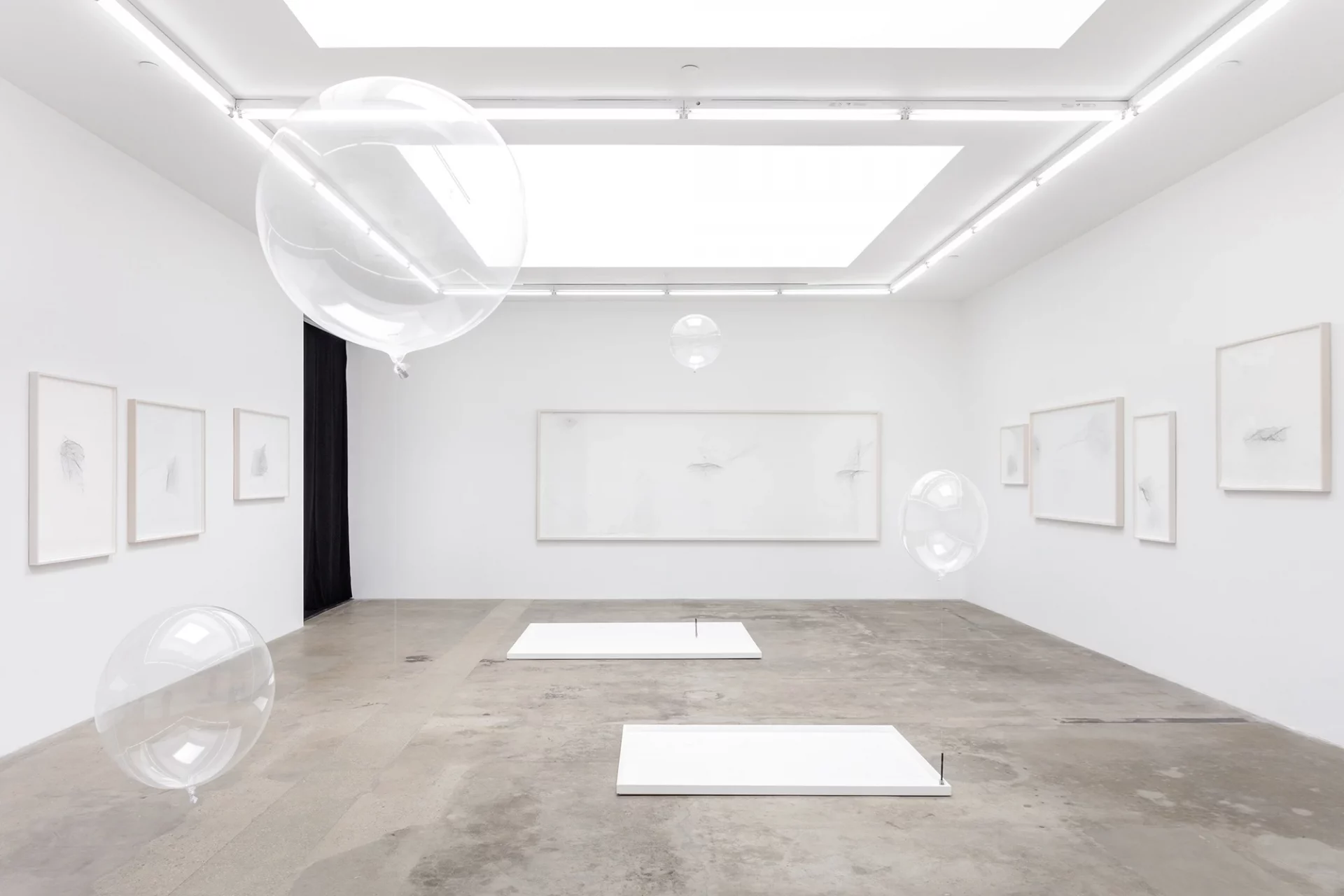 Tomás Saraceno