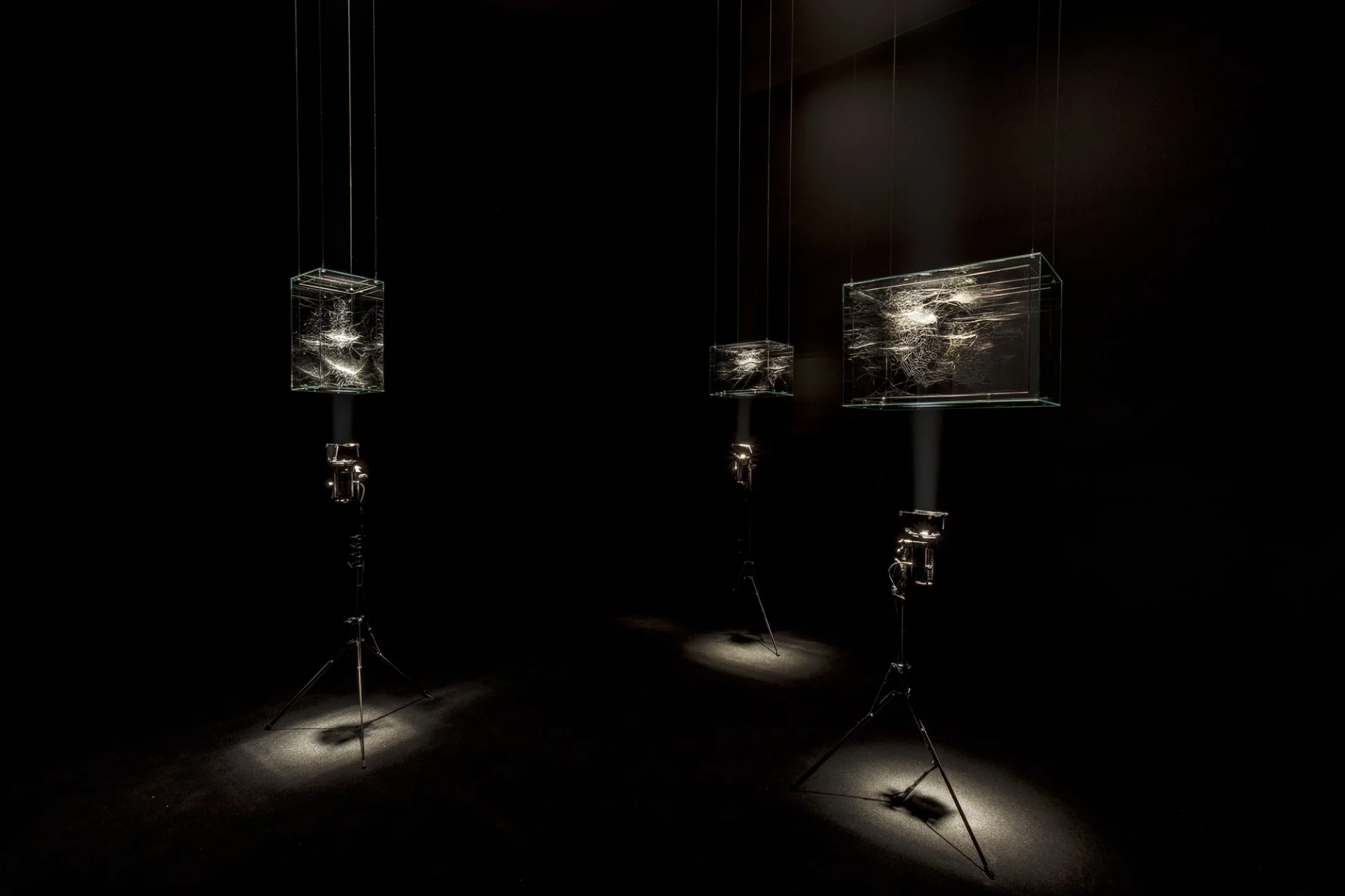 Tomás Saraceno