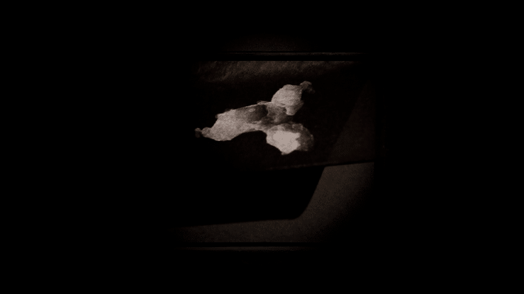 Particular Matter(s)