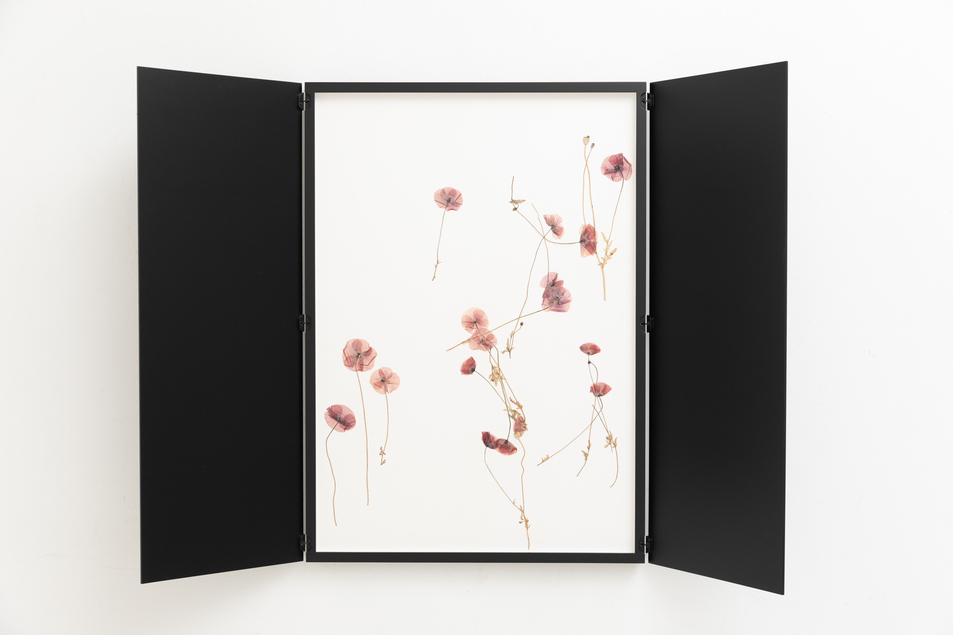 Silent Autumn / Silent Spring
