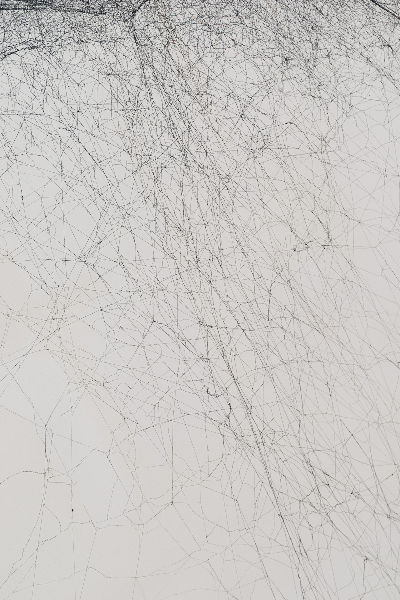 Tomás Saraceno, Solitary semi-social mapping of EPIC 205071984 c by a solo Nephila senegalensis – two weeks and a quartet of Cyrtophora citricola – five weeks, 2016. Courtesy Studio Tomás Saraceno. Photography Studio Tomás Saraceno. 