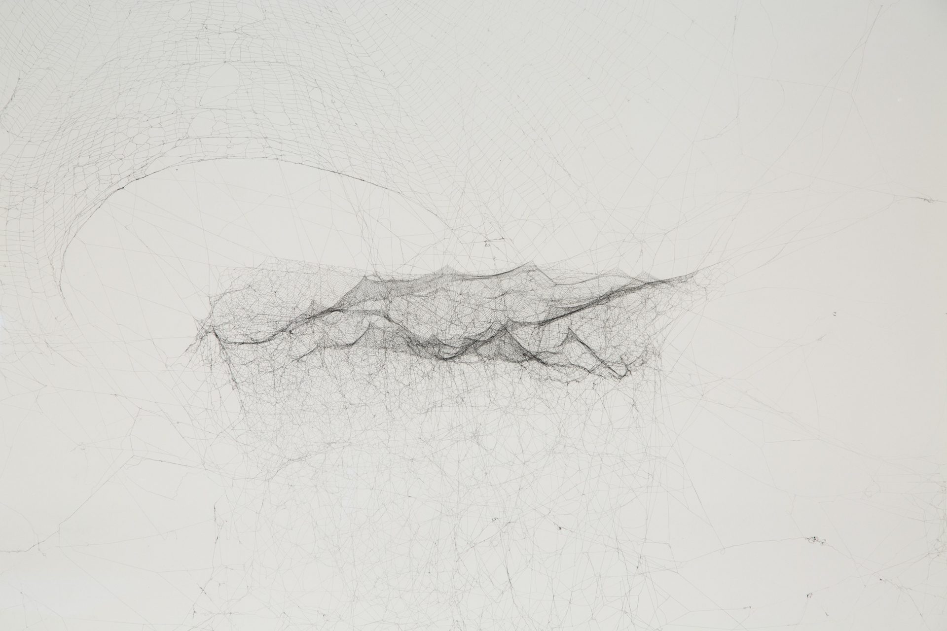 2-Dimensional Webs Archive/Maps and Traces