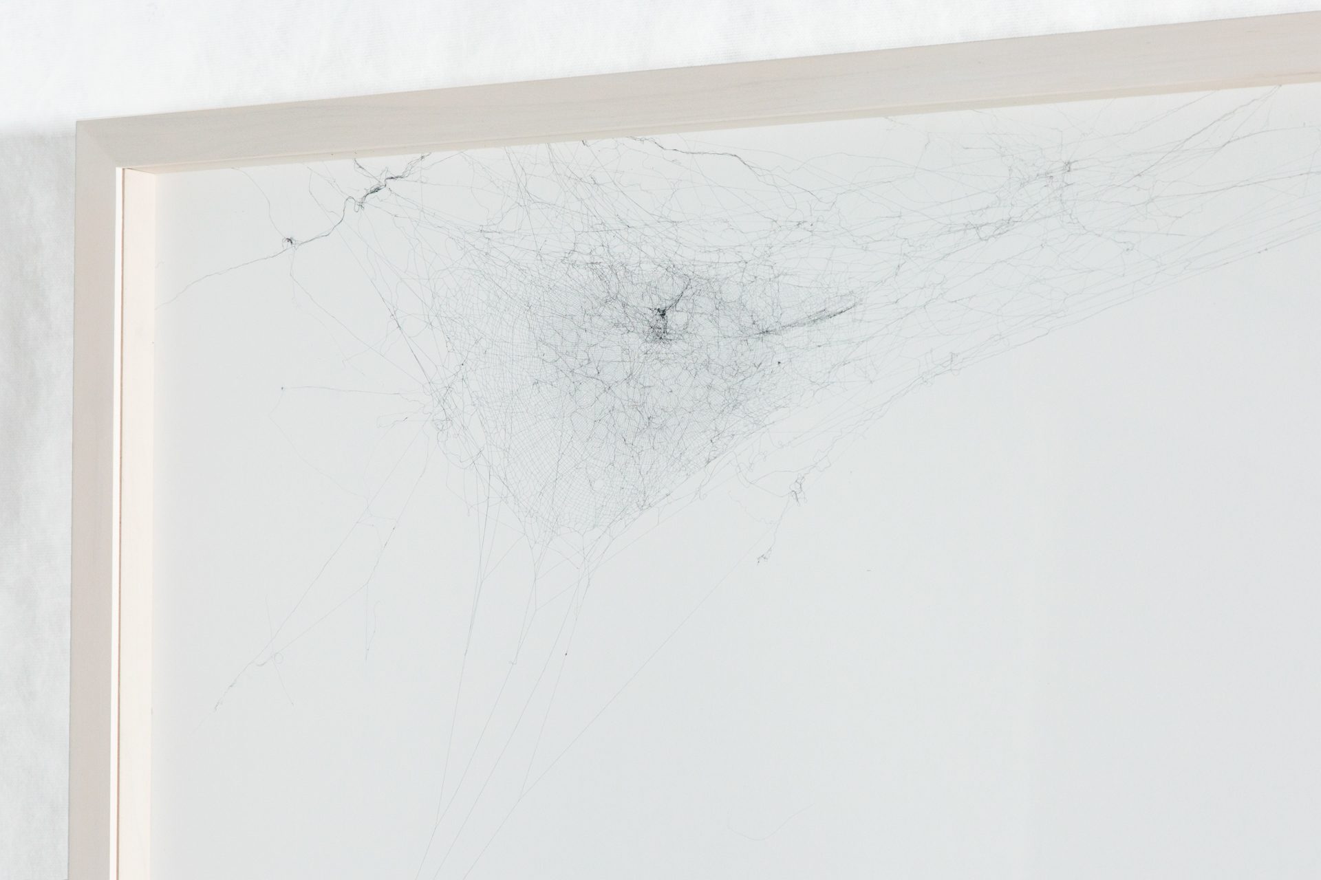 2-Dimensional Webs Archive/Maps and Traces