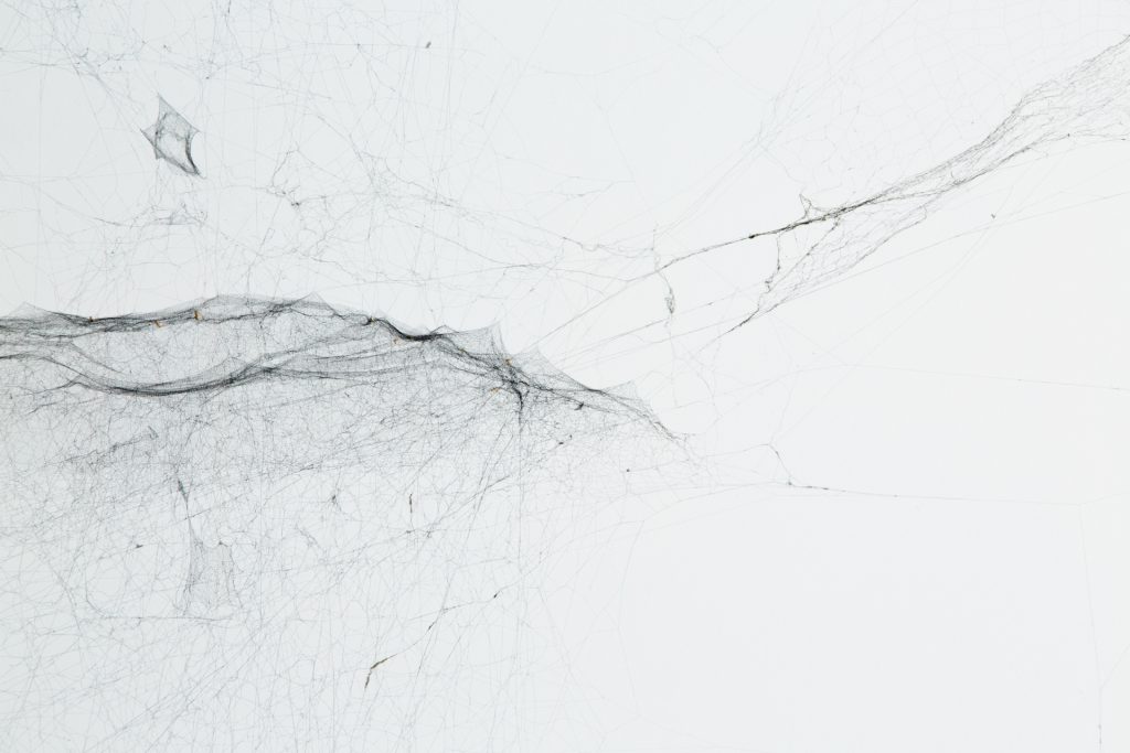2-Dimensional Webs Archive/Maps and Traces