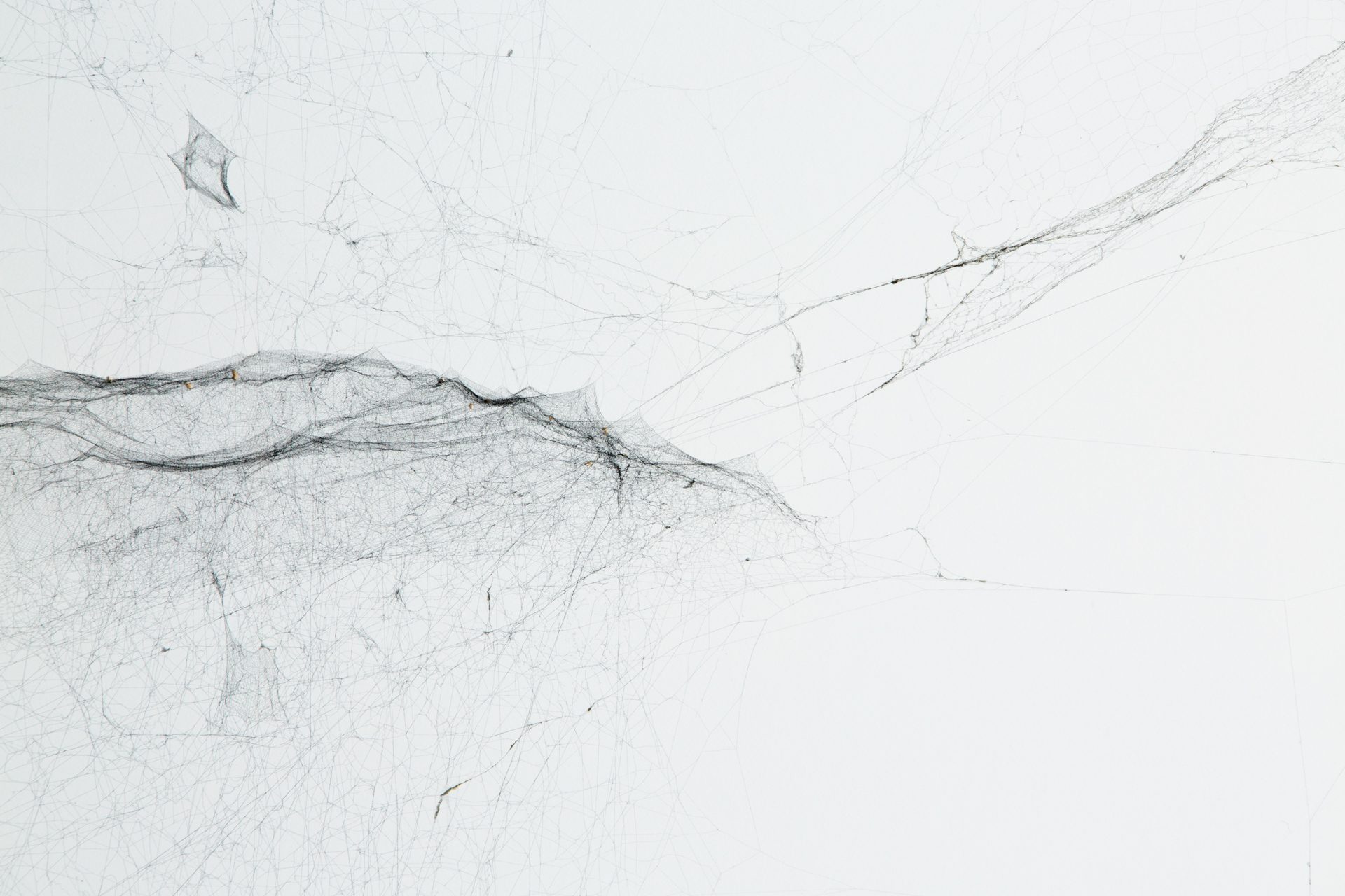 2-Dimensional Webs Archive/Maps and Traces