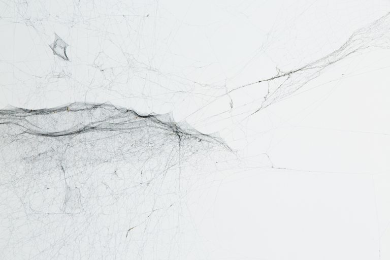 2-Dimensional Webs Archive/Maps and Traces